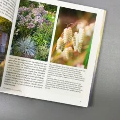 Gräser - Faszinierende Leichtigkeit (Borkowski, Hofmeister) -Günstiges Pflanzen Land Geschäft 13757 Graeser 20 20Faszinierende 20Leichtigkeit Borkowski 20Hofmeister 4