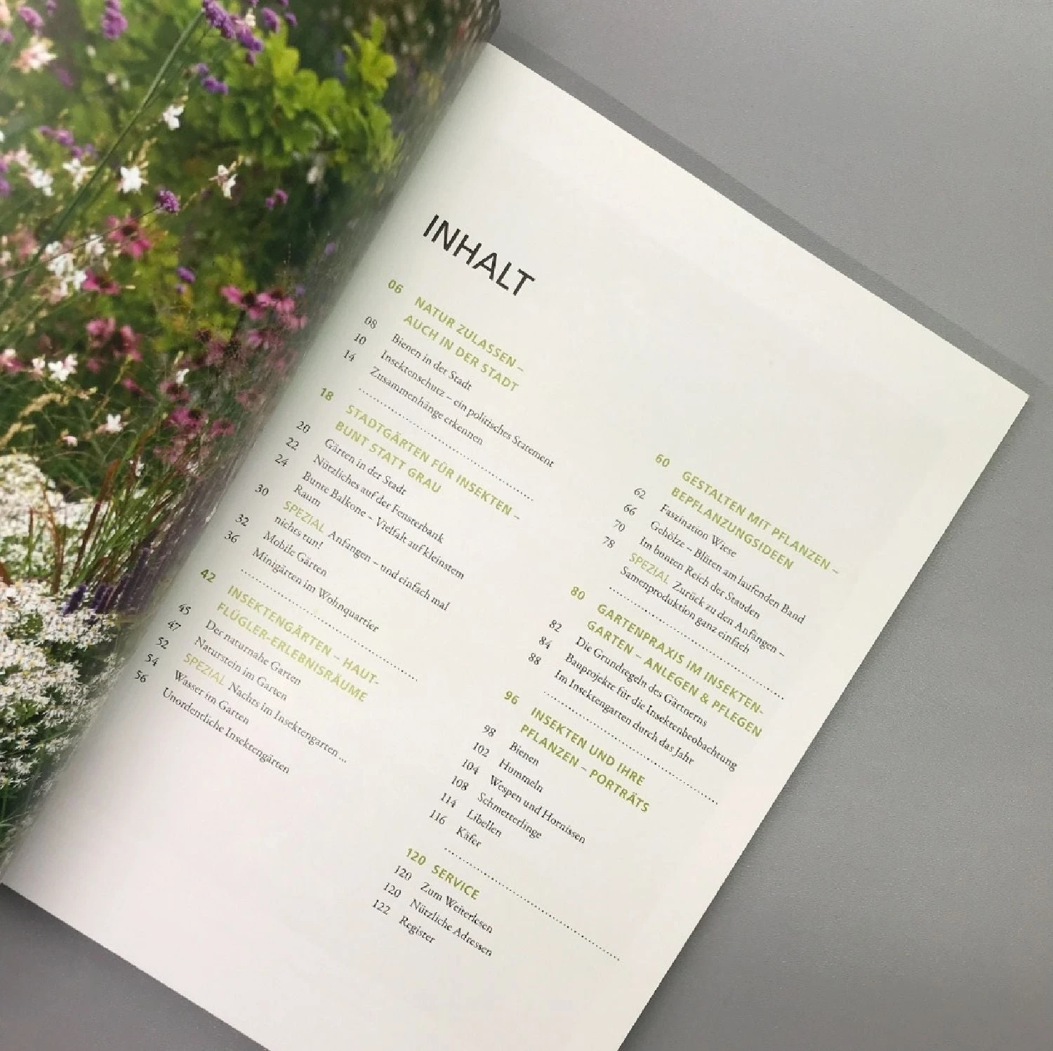 Mein Garten Summt! (Simone Kern) 4 Mein Garten Summt! (Simone Kern) – Bild 2