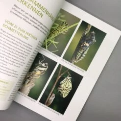 Mein Garten Summt! (Simone Kern) 9 Mein Garten Summt! (Simone Kern) -Günstiges Pflanzen Land Geschäft 19935 Mein 20Garten 20summt Simone 20Kern 4