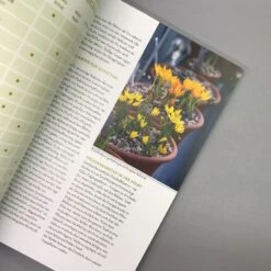 Mein Garten Summt! (Simone Kern) 10 Mein Garten Summt! (Simone Kern) -Günstiges Pflanzen Land Geschäft 19935 Mein 20Garten 20summt Simone 20Kern 5