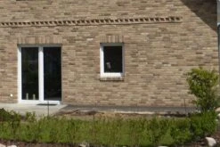 Leuchtfeuer (Farbpower Für Den Garten) 21 Leuchtfeuer (Farbpower Für Den Garten) -Günstiges Pflanzen Land Geschäft 2001000 Leuchtfeuer Farbpower 20fuer 20den 20Garten 2