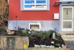 Leuchtfeuer (Farbpower Für Den Garten) 23 Leuchtfeuer (Farbpower Für Den Garten) -Günstiges Pflanzen Land Geschäft 2001000 Leuchtfeuer Farbpower 20fuer 20den 20Garten 4