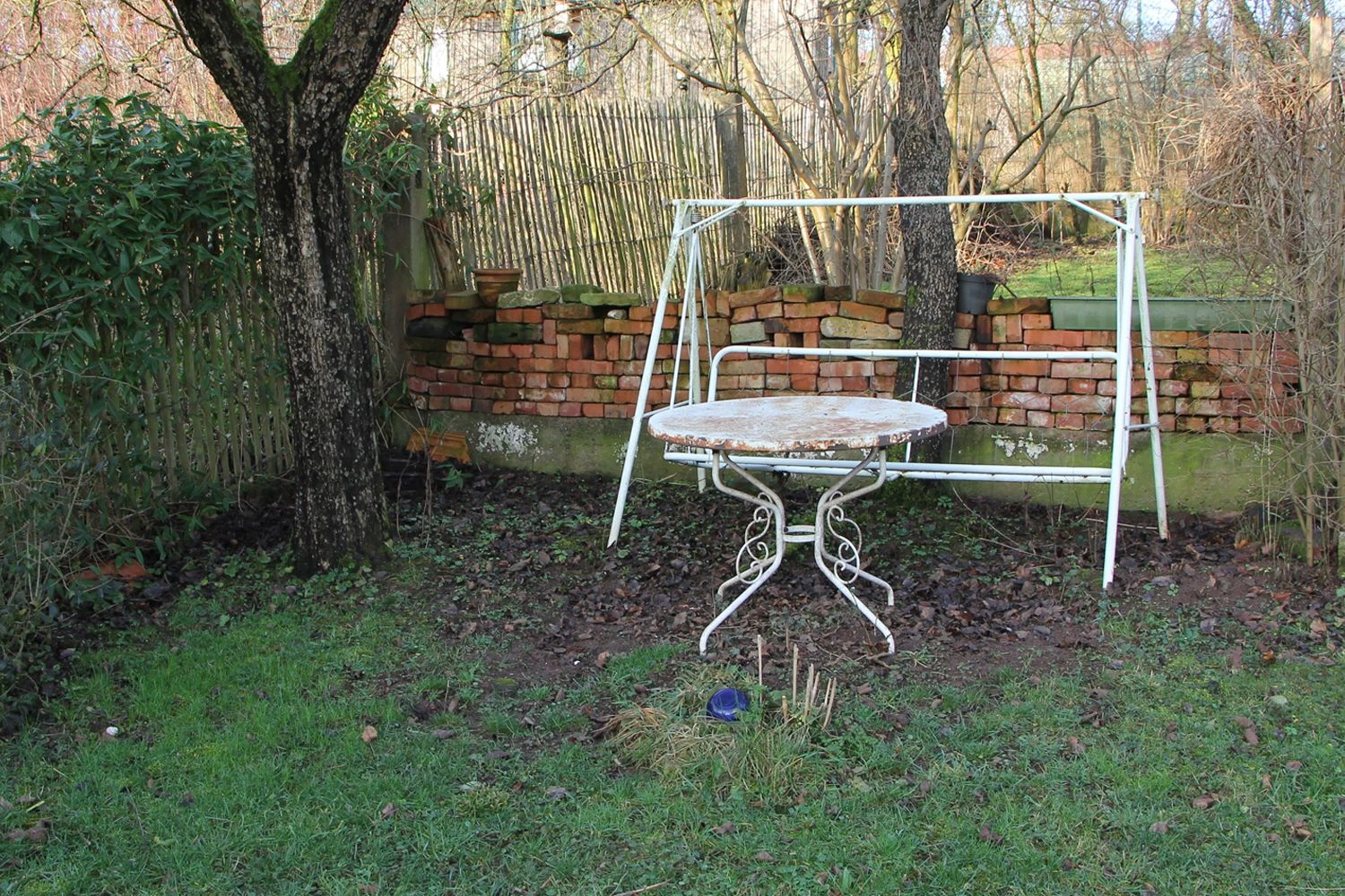 Robuste Alleskönner (Problemlösung Für Den Trockenen Schatten) 4 Robuste Alleskönner (Problemlösung Für Den Trockenen Schatten) – Bild 2