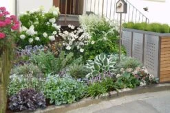 Edler Empfang (Idee Für Den Vorgarten)