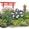 Fernöstlicher Traum (Ein Hauch Von Japan Im Eigenen Garten) 2 Fernöstlicher Traum (Ein Hauch Von Japan Im Eigenen Garten) -Günstiges Pflanzen Land Geschäft 2001632 Fernoestlicher 20Traum Ein 20Hauch 20von 20Japan 20im 20eigenen 20Garten 1