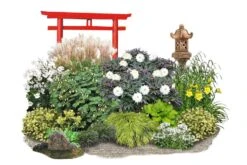 Fernöstlicher Traum (Ein Hauch Von Japan Im Eigenen Garten)