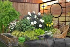 Fernöstlicher Traum (Ein Hauch Von Japan Im Eigenen Garten) 19 Fernöstlicher Traum (Ein Hauch Von Japan Im Eigenen Garten) -Günstiges Pflanzen Land Geschäft 2001632 Fernoestlicher 20Traum Ein 20Hauch 20von 20Japan 20im 20eigenen 20Garten 3