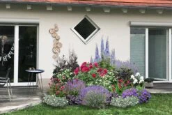 Beet In Feierlaune (Der Sommer Kann Kommen!) -Günstiges Pflanzen Land Geschäft 2001804 Beet 20in 20Feierlaune Der 20Sommer 20kann 20kommen 3