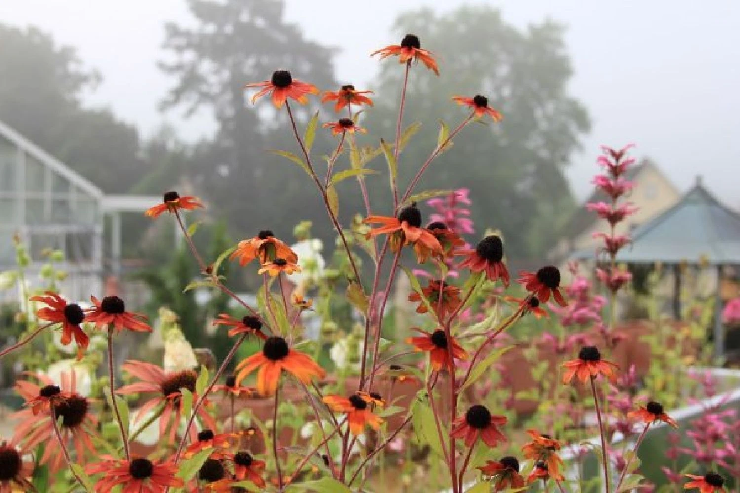 New German Style (Wundervolle Wildstaudenpracht) 18 New German Style (Wundervolle Wildstaudenpracht) – Bild 16