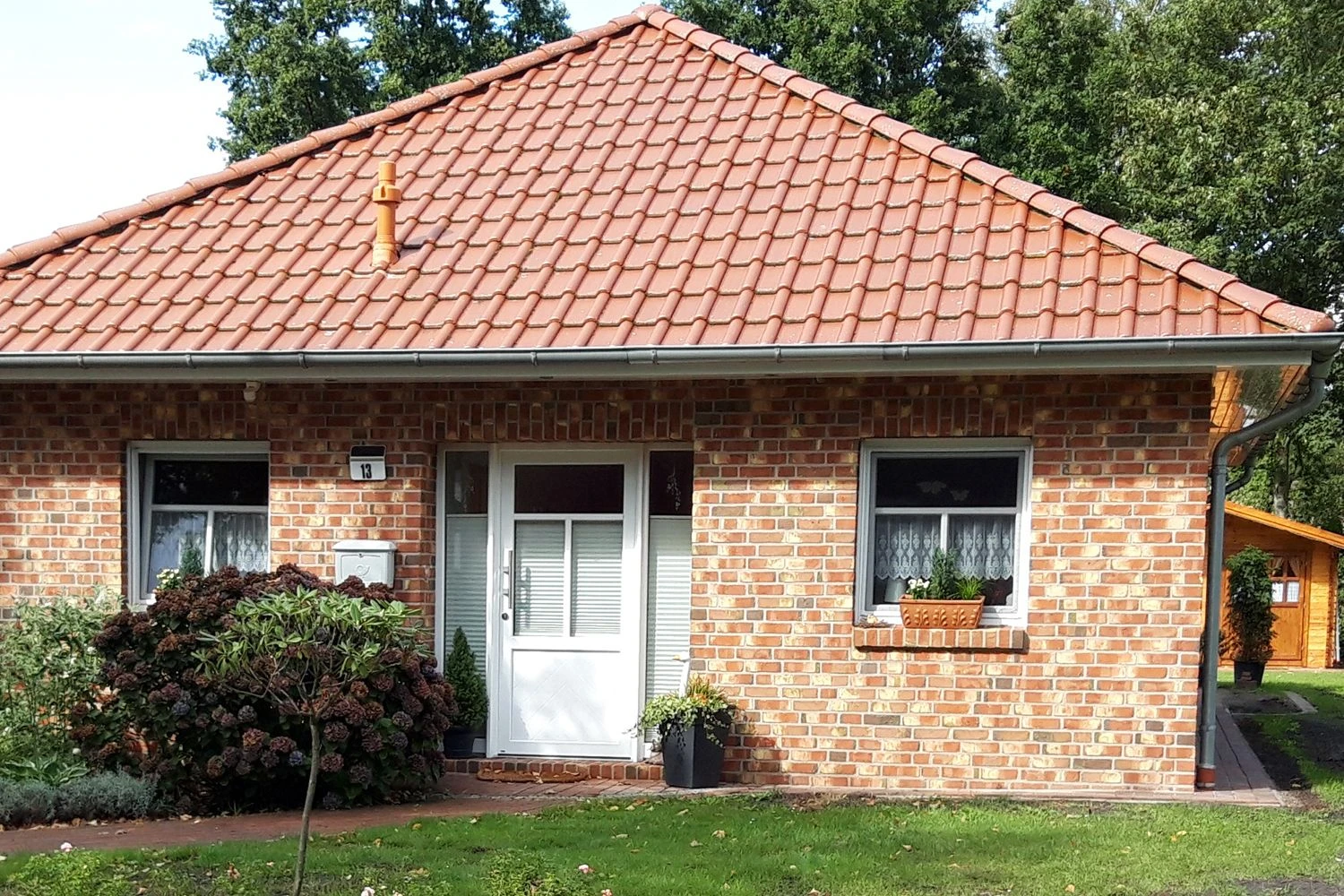 New German Style (Wundervolle Wildstaudenpracht) 4 New German Style (Wundervolle Wildstaudenpracht) – Bild 2