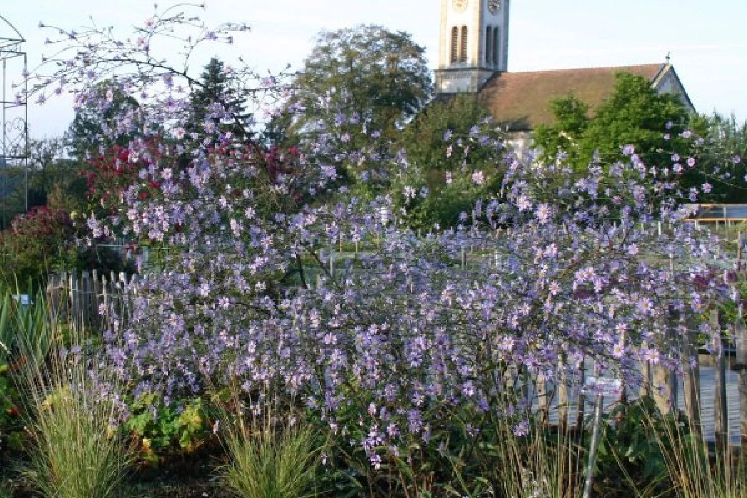 New German Style (Wundervolle Wildstaudenpracht) 8 New German Style (Wundervolle Wildstaudenpracht) – Bild 6