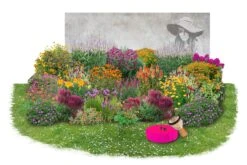 Summer Of Love (Belebende Flower Power Für Ihren Garten!) -Günstiges Pflanzen Land Geschäft 2002767 Summer 20of 20Love Belebende 20Flower 20Power 20fuer 20Ihren 20Garten 11