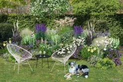 Lauschiger Lieblingsplatz (Hochsommerlicher Rückzugsort) -Günstiges Pflanzen Land Geschäft 2003181 Lauschiger 20Lieblingsplatz Hochsommerlicher 20Rueckzugsort 3