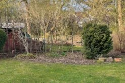 Lauschiger Lieblingsplatz (Hochsommerlicher Rückzugsort) -Günstiges Pflanzen Land Geschäft 2003181 Lauschiger 20Lieblingsplatz Hochsommerlicher 20Rueckzugsort 4