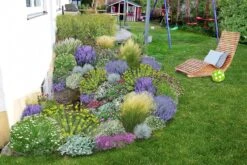 Das Hangbeet (Clevere Bepflanzung Für Schräge Flächen) -Günstiges Pflanzen Land Geschäft 2003344 Das 20Hangbeet Clevere 20Bepflanzung 20fuer 20schraege 20Flaechen 3