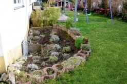 Das Hangbeet (Clevere Bepflanzung Für Schräge Flächen) -Günstiges Pflanzen Land Geschäft 2003344 Das 20Hangbeet Clevere 20Bepflanzung 20fuer 20schraege 20Flaechen 4