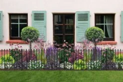 Das Streifenbeet (Blütenreicher Saum Für Wege, Mauern & Zäune) -Günstiges Pflanzen Land Geschäft 2003627 Das 20Streifenbeet Bluetenreicher 20Saum 20fuer 20Wege 20Mauern 20 20Zaeune 3