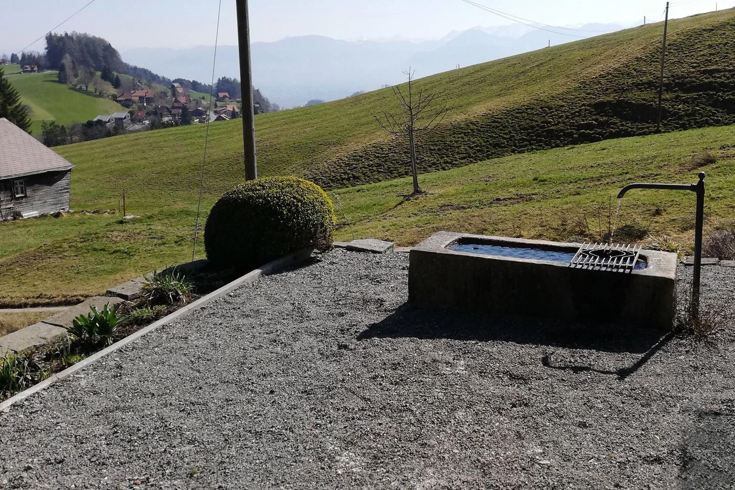 Der Berg Ruft (Maximale Blütenfreude Für Raue Gegenden) 4 Der Berg Ruft (Maximale Blütenfreude Für Raue Gegenden) – Bild 2