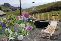 Der Berg Ruft (Maximale Blütenfreude Für Raue Gegenden) 24 Der Berg Ruft (Maximale Blütenfreude Für Raue Gegenden) -Günstiges Pflanzen Land Geschäft 2004415 Der 20Berg 20ruft Maximale 20Bluetenfreude 20fuer 20raue 20Gegenden 3