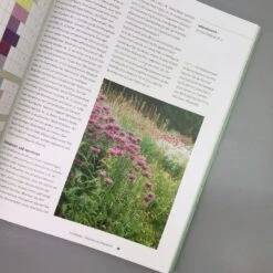 Einfach Schöne Beete (Christine Breier) 9 Einfach Schöne Beete (Christine Breier) -Günstiges Pflanzen Land Geschäft 20593 Einfach 20schoene 20Beete Christine 20Breier 4