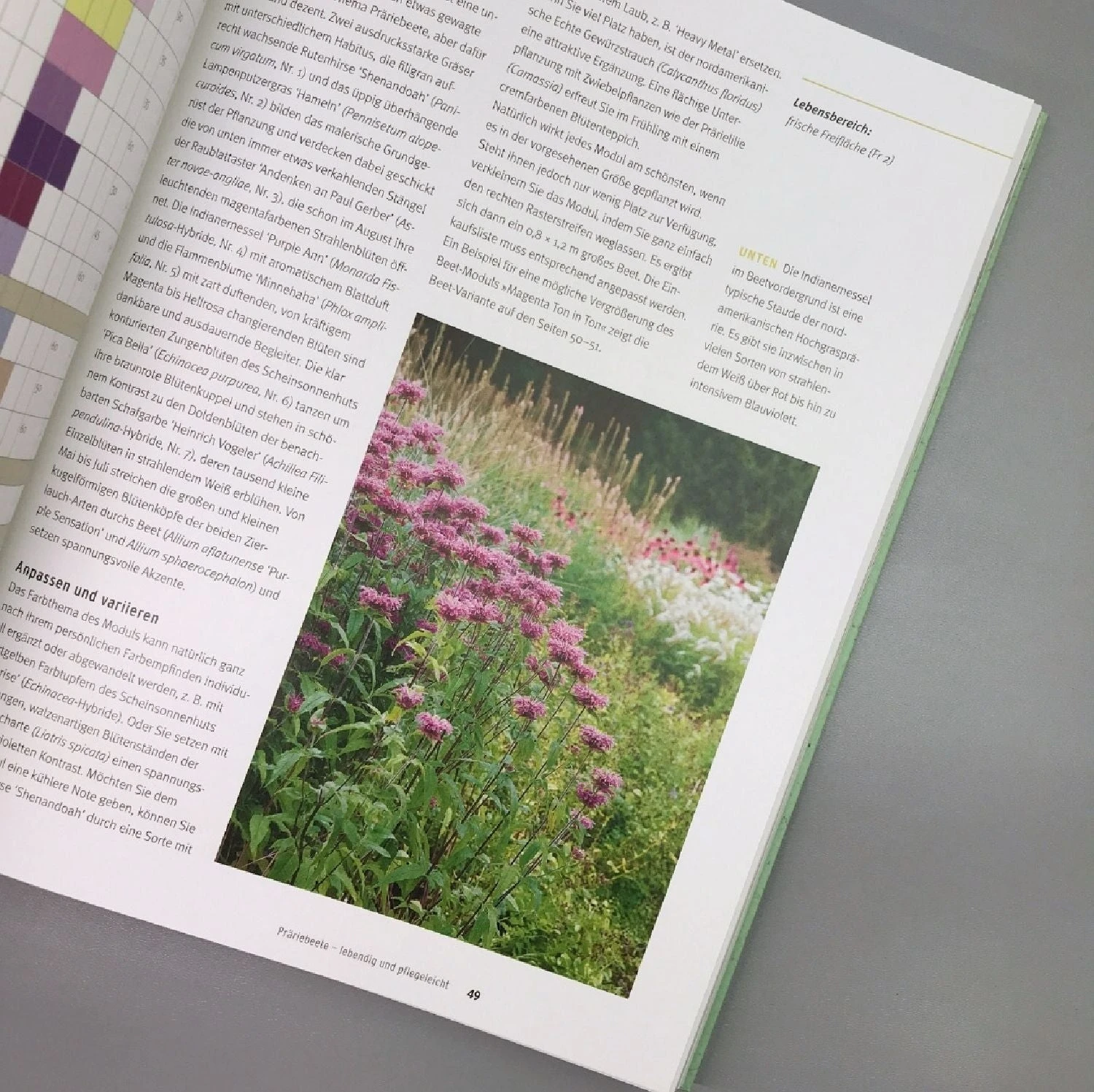 Einfach Schöne Beete (Christine Breier) 5 Einfach Schöne Beete (Christine Breier) – Bild 3