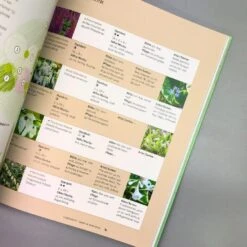 Einfach Schöne Beete (Christine Breier) 10 Einfach Schöne Beete (Christine Breier) -Günstiges Pflanzen Land Geschäft 20593 Einfach 20schoene 20Beete Christine 20Breier 5