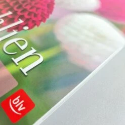 Dahlien (Bettina Verbeek) -Günstiges Pflanzen Land Geschäft 21434 Dahlien Bettina 20Verbeek 2