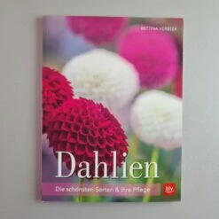 Dahlien (Bettina Verbeek)