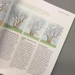 So Einfach Geht Pflanzenschnitt (Hansjörg Haas) -Günstiges Pflanzen Land Geschäft 22145 So 20einfach 20geht 20Pflanzenschnitt Hansjoerg 20Haas 6