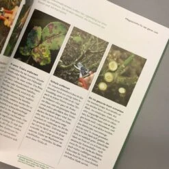 So Einfach Geht Pflanzenschnitt (Hansjörg Haas) -Günstiges Pflanzen Land Geschäft 22145 So 20einfach 20geht 20Pflanzenschnitt Hansjoerg 20Haas 7