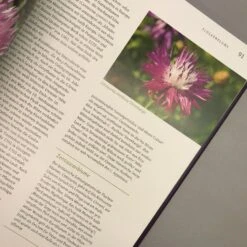 Günstiges Pflanzen Land Geschäft -Günstiges Pflanzen Land Geschäft 22635 Alte 20Stauden 20Schaetze Dieter 20Gaissmayer 3