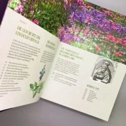 Alte Stauden Schätze (Dieter Gaißmayer) 10 Alte Stauden Schätze (Dieter Gaißmayer) -Günstiges Pflanzen Land Geschäft 22635 Alte 20Stauden 20Schaetze Dieter 20Gaissmayer 5