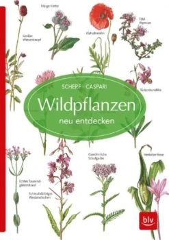 Wildpflanzen Neu Entdecken (Scherf & Caspari) 9 Wildpflanzen Neu Entdecken (Scherf & Caspari) -Günstiges Pflanzen Land Geschäft 23318 Wildpflanzen 20neu 20entdecken Scherf 20 20Caspari 1