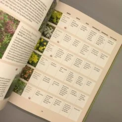 Und Es Wächst Doch! (Till Hofmann) -Günstiges Pflanzen Land Geschäft 24676 Und 20es 20waechst 20doch Till 20Hofmann 5