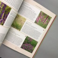 Und Es Wächst Doch! (Till Hofmann) -Günstiges Pflanzen Land Geschäft 24676 Und 20es 20waechst 20doch Till 20Hofmann 6