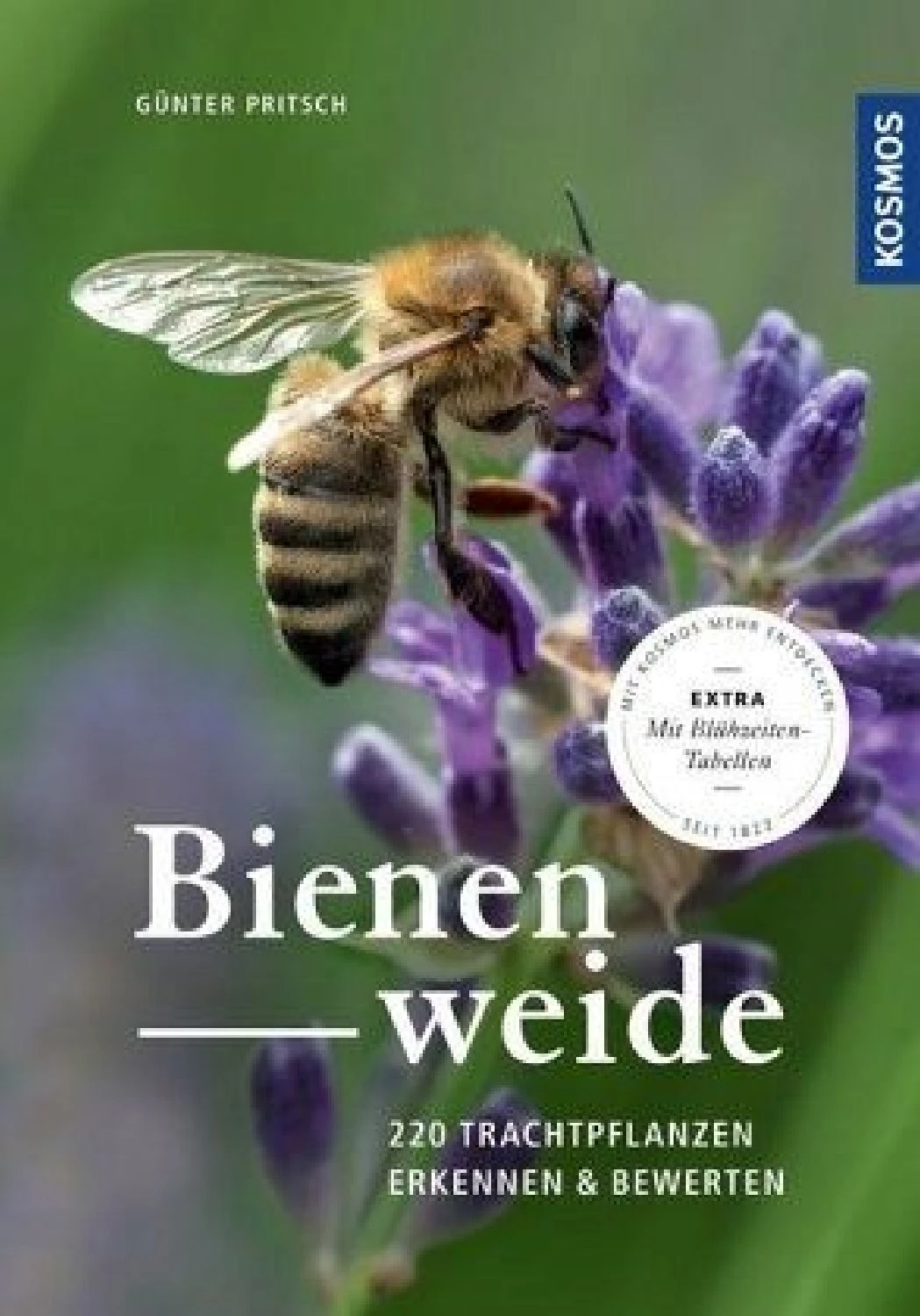 Bienenweide (Günter Pritsch) 3 Bienenweide (Günter Pritsch)