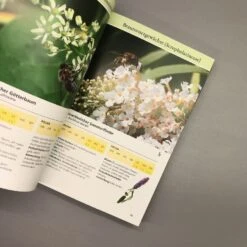 Bienenweide (Günter Pritsch) 11 Bienenweide (Günter Pritsch) -Günstiges Pflanzen Land Geschäft 24710 Bienenweide Guenter 20Pritsch 4