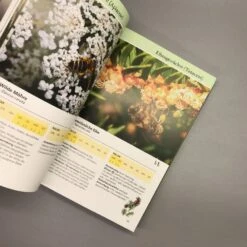 Bienenweide (Günter Pritsch) 12 Bienenweide (Günter Pritsch) -Günstiges Pflanzen Land Geschäft 24710 Bienenweide Guenter 20Pritsch 5