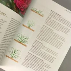 Das Große Ulmer Rosenbuch (Andreas Barlage) 10 Das Große Ulmer Rosenbuch (Andreas Barlage) -Günstiges Pflanzen Land Geschäft 24876 Das 20grosse 20Ulmer 20Rosenbuch Andreas 20Barlage 4