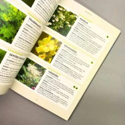 Kräuter - Es Geht Auch EINFACH! (Burkhard Bohne) -Günstiges Pflanzen Land Geschäft 25643 Kraeuter 20 20Es 20geht 20auch 20EINFACH Burkhard 20Bohne 4