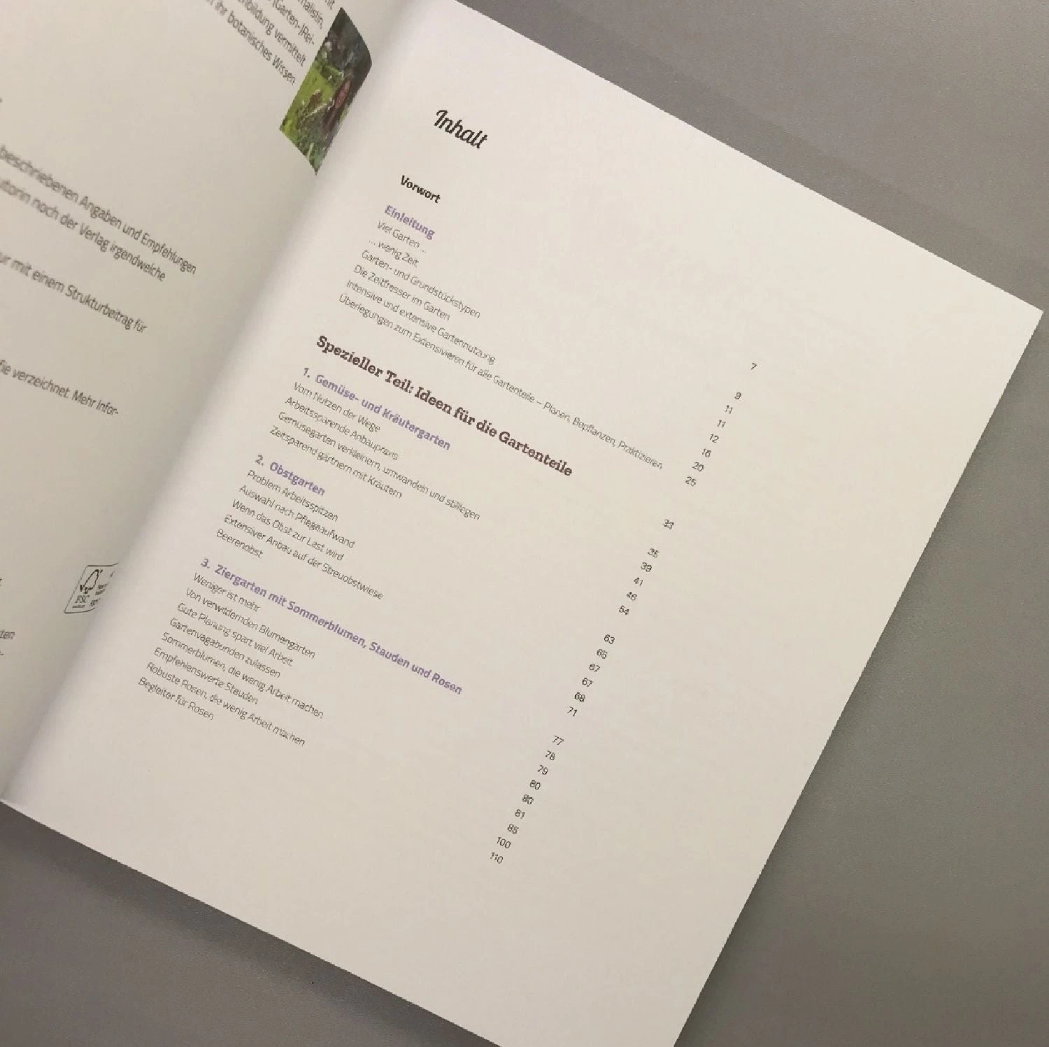 Viel Garten - Wenig Zeit (Brunhilde Bross) 5 Viel Garten - Wenig Zeit (Brunhilde Bross) – Bild 3