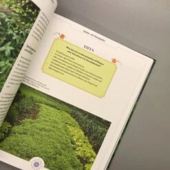 Viel Garten - Wenig Zeit (Brunhilde Bross) 13 Viel Garten - Wenig Zeit (Brunhilde Bross) -Günstiges Pflanzen Land Geschäft 26029 Viel 20Garten 20 20Wenig 20Zeit Brunhilde 20Bross 6