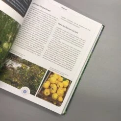 Viel Garten - Wenig Zeit (Brunhilde Bross) 14 Viel Garten - Wenig Zeit (Brunhilde Bross) -Günstiges Pflanzen Land Geschäft 26029 Viel 20Garten 20 20Wenig 20Zeit Brunhilde 20Bross 7