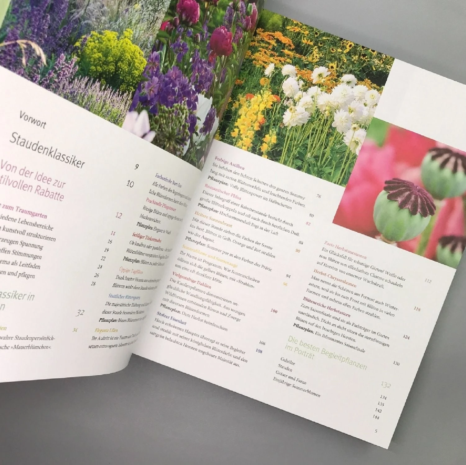 Ganzjährig Attraktive Beete (Ute Bauer) 4 Ganzjährig Attraktive Beete (Ute Bauer) – Bild 2