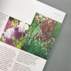 Ganzjährig Attraktive Beete (Ute Bauer) 10 Ganzjährig Attraktive Beete (Ute Bauer) -Günstiges Pflanzen Land Geschäft 26258 Ganzjaehrig 20attraktive 20Beete Ute 20Bauer 3