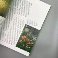 Ganzjährig Attraktive Beete (Ute Bauer) 12 Ganzjährig Attraktive Beete (Ute Bauer) -Günstiges Pflanzen Land Geschäft 26258 Ganzjaehrig 20attraktive 20Beete Ute 20Bauer 5