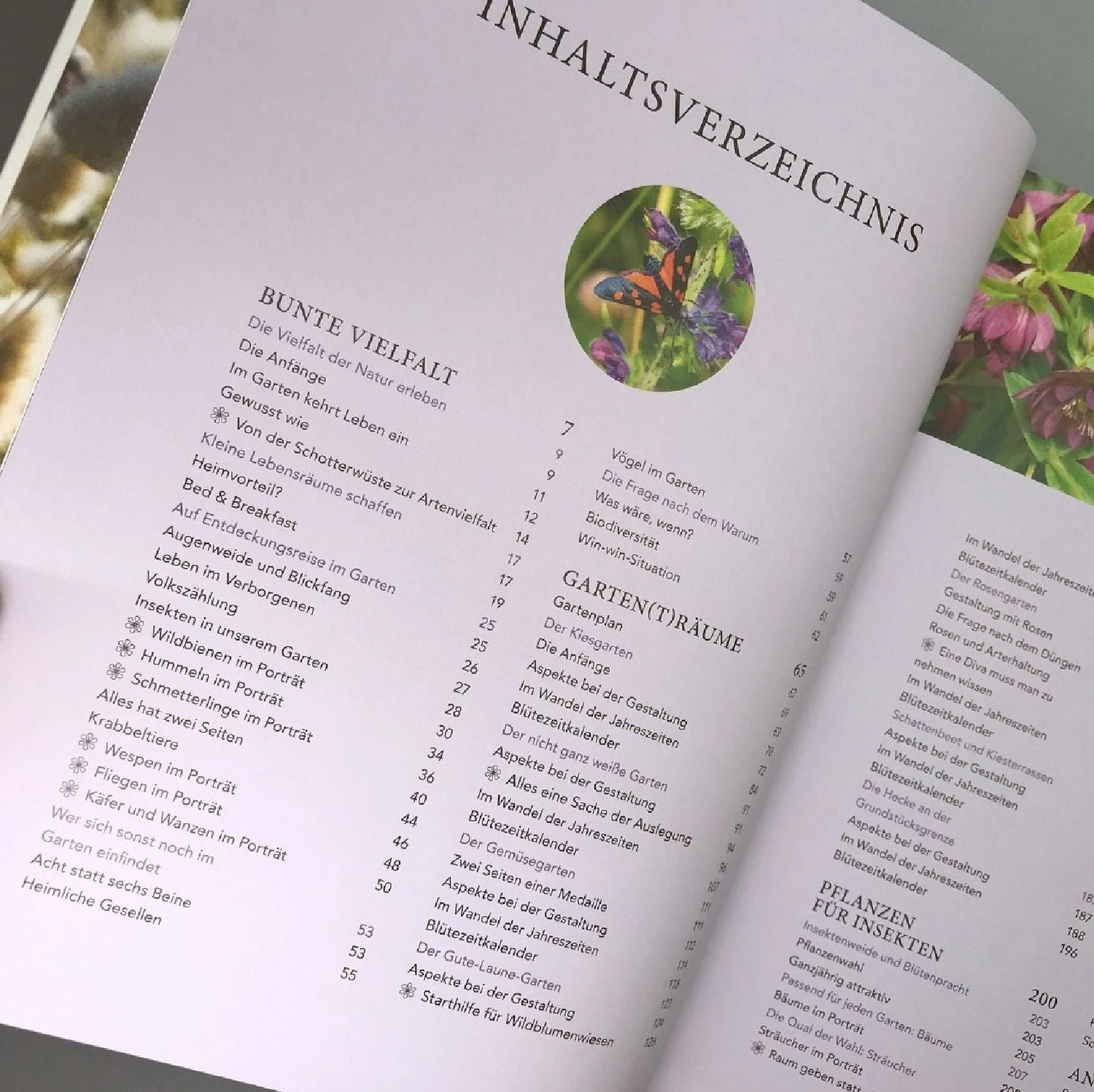 Mein Summendes Paradies (Cynthia Nagel) 4 Mein Summendes Paradies (Cynthia Nagel) – Bild 2