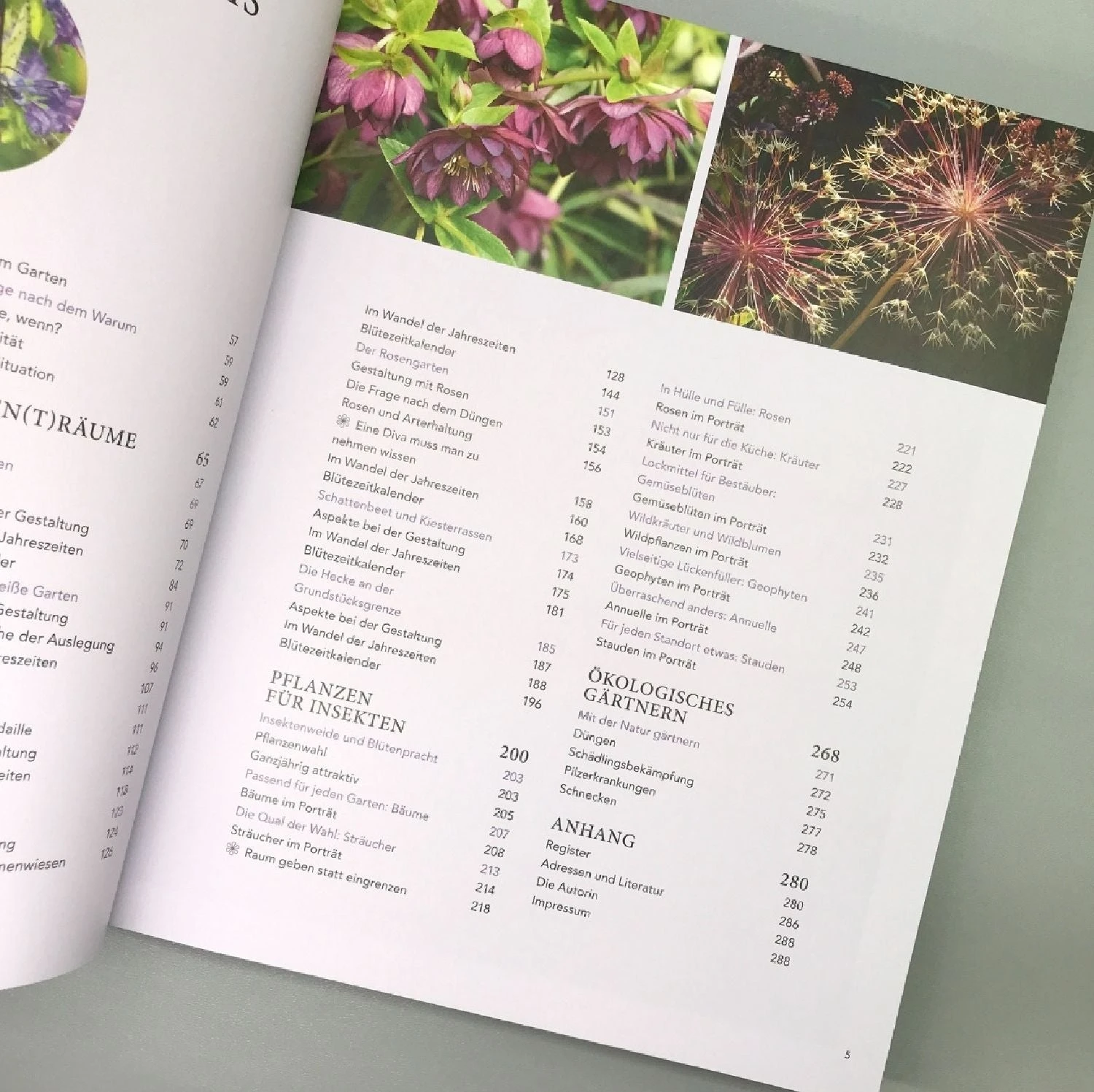 Mein Summendes Paradies (Cynthia Nagel) 5 Mein Summendes Paradies (Cynthia Nagel) – Bild 3