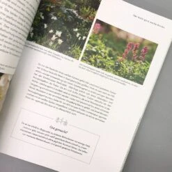 Mein Summendes Paradies (Cynthia Nagel) 11 Mein Summendes Paradies (Cynthia Nagel) -Günstiges Pflanzen Land Geschäft 26260 Mein 20summendes 20Paradies Cynthia 20Nagel 5