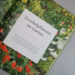 Blütenreich (Katrin Lugerbauer) 19 Blütenreich (Katrin Lugerbauer) -Günstiges Pflanzen Land Geschäft 27346 Bluetenreich Katrin 20Lugerbauer 4